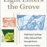 Light Enters the Grove – A National Poetry Month Celebration